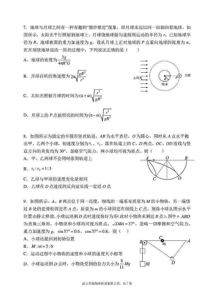 辽宁省沈阳市东北育才学校等校2025-2026学年高三上学期联合考试物理试卷（月考）第3页