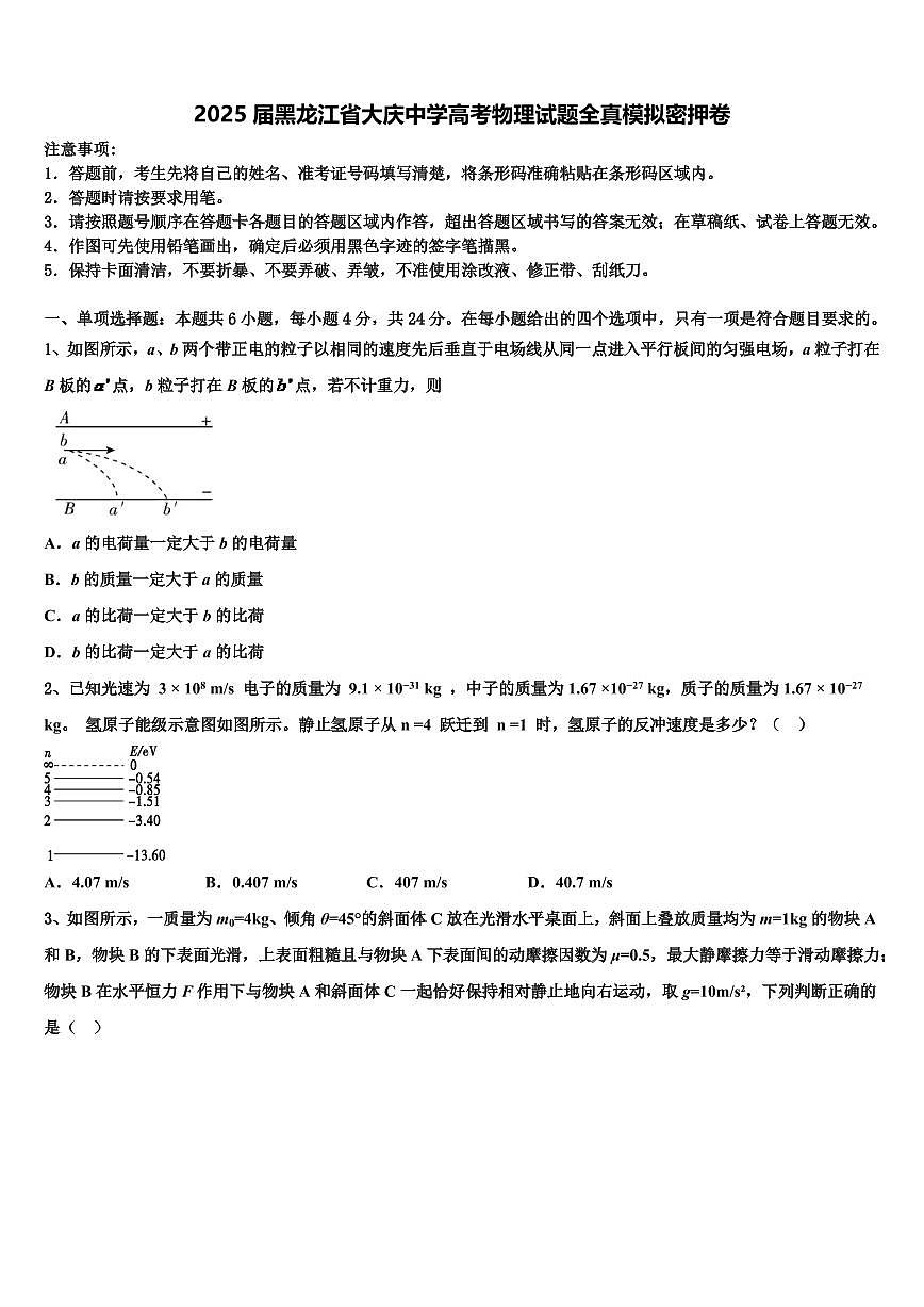 2025届黑龙江省大庆中学高考物理试题全真模拟密押卷第1页