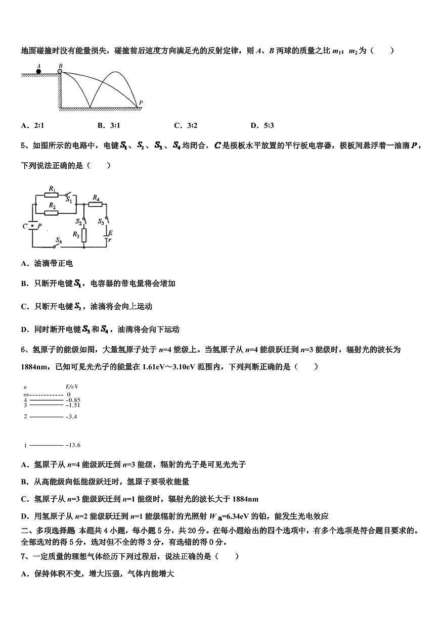 2025届吉林省吉林市重点中学高三高考模拟物理试题第2页