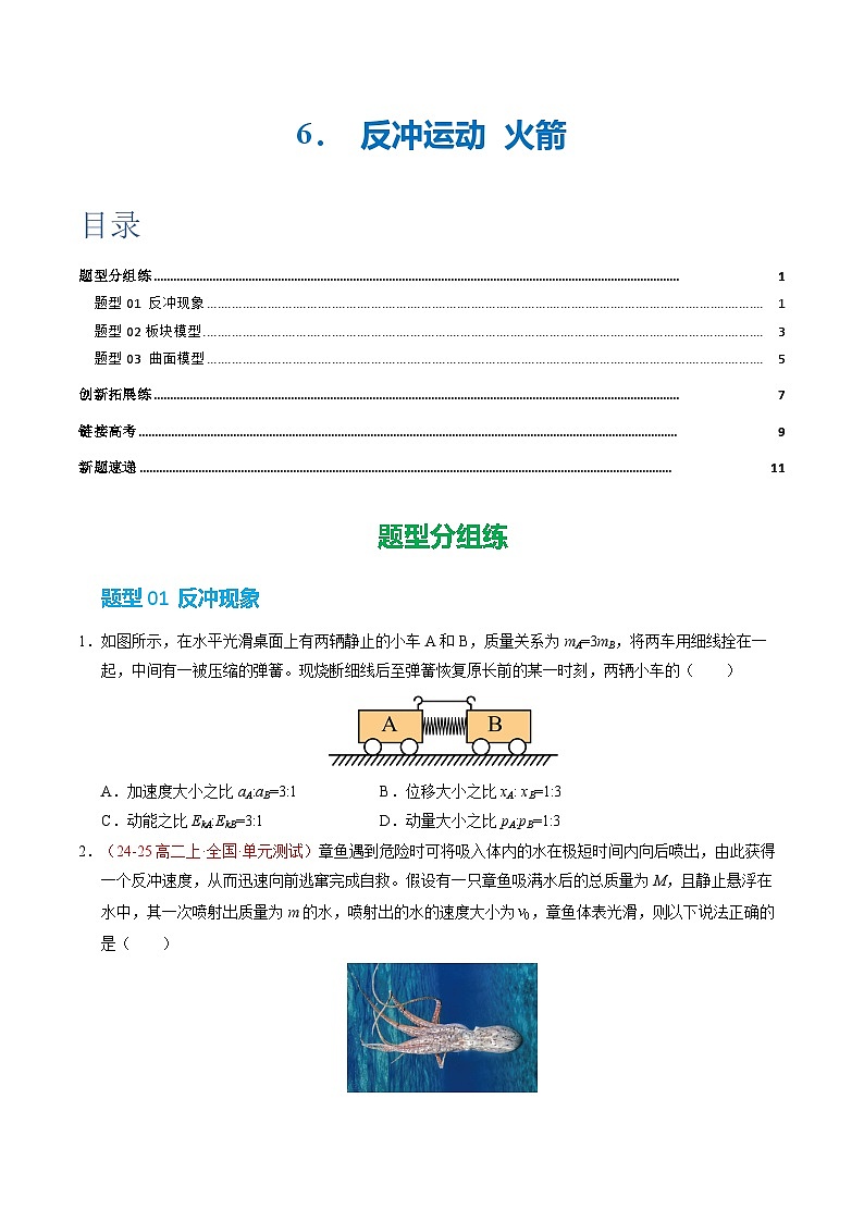 6. 反冲现象 火箭（培优考点练）（原卷版）第1页
