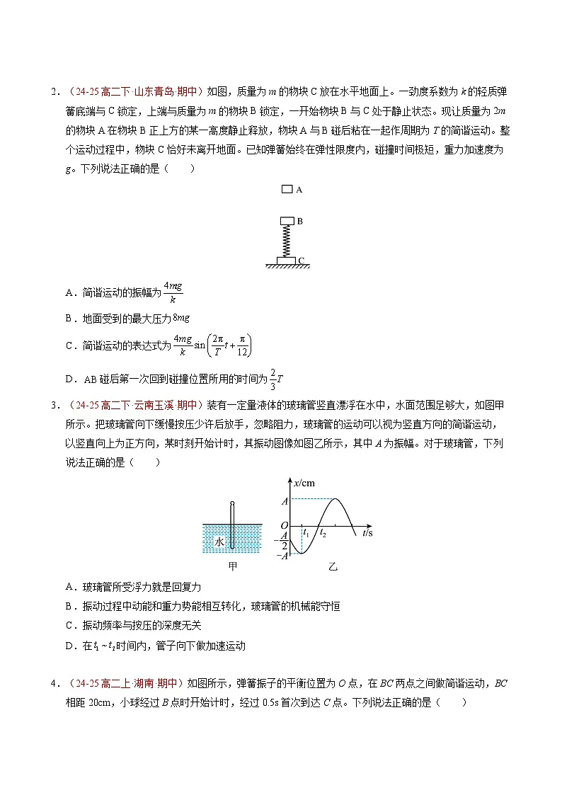 2. 简谐运动的描述（培优考点练）（原卷版）第2页