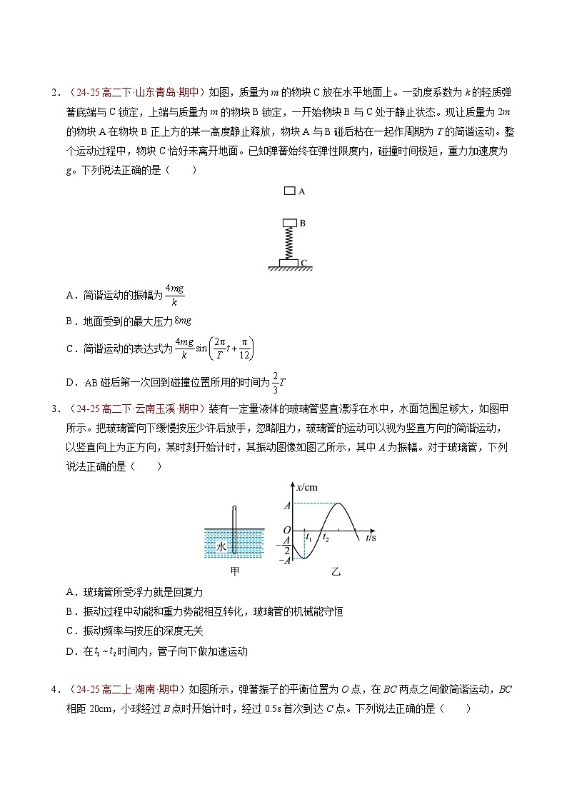 2. 简谐运动的描述（培优考点练）（原卷版）第2页