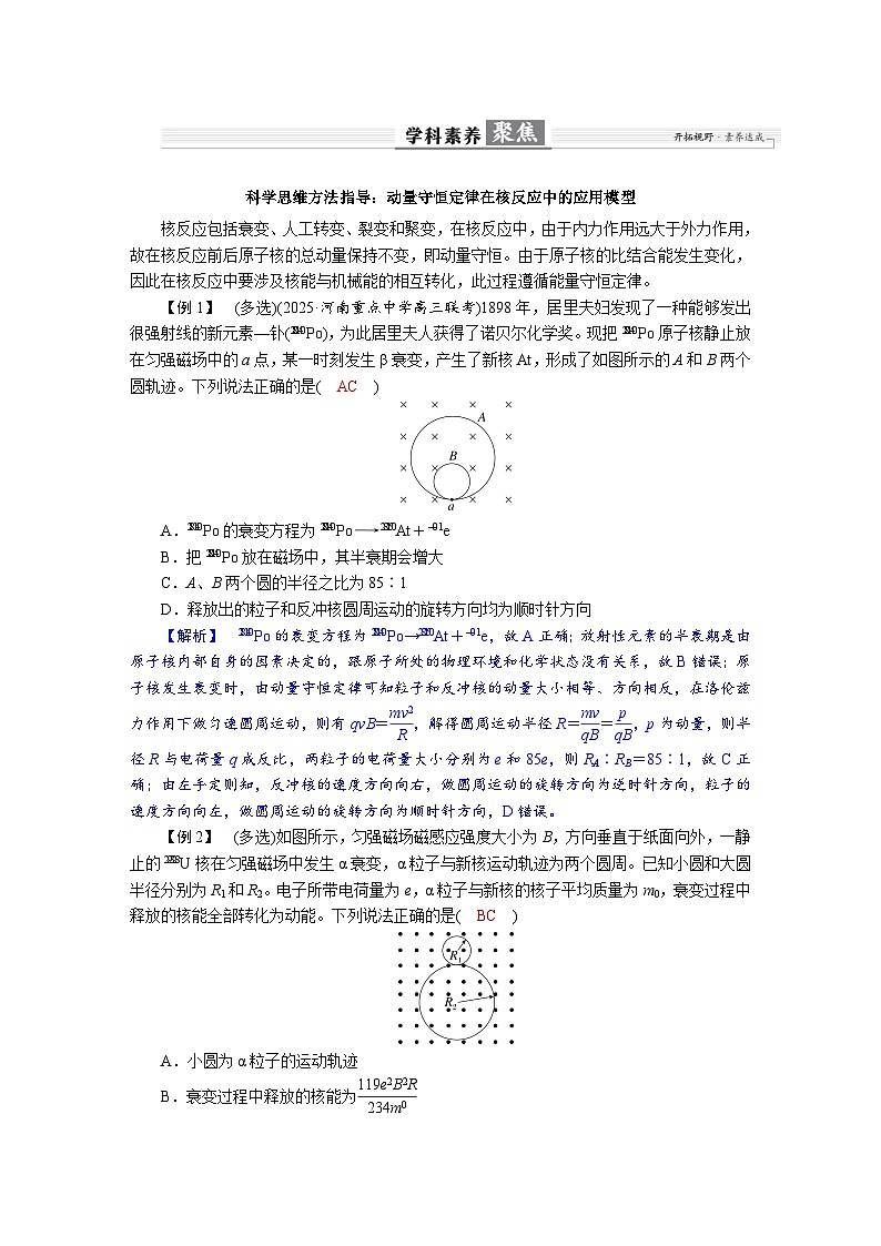 高考物理一轮复习讲义练习第十六章  学科素养聚焦　科学思维方法指导：动量守恒定律在核反应中的应用模型第1页
