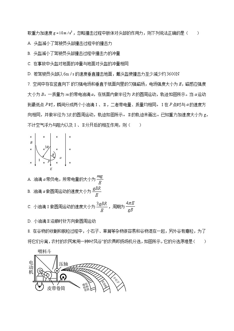 四川省绵阳东辰中学2025~2026学年高三上册（10月）月考物理检测试卷（含答案）第3页