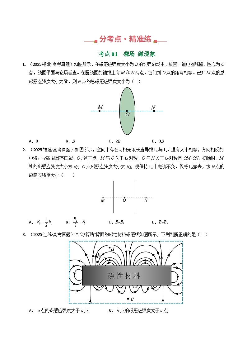 专题19 磁场 安培力（全国通用）（原卷版）第2页