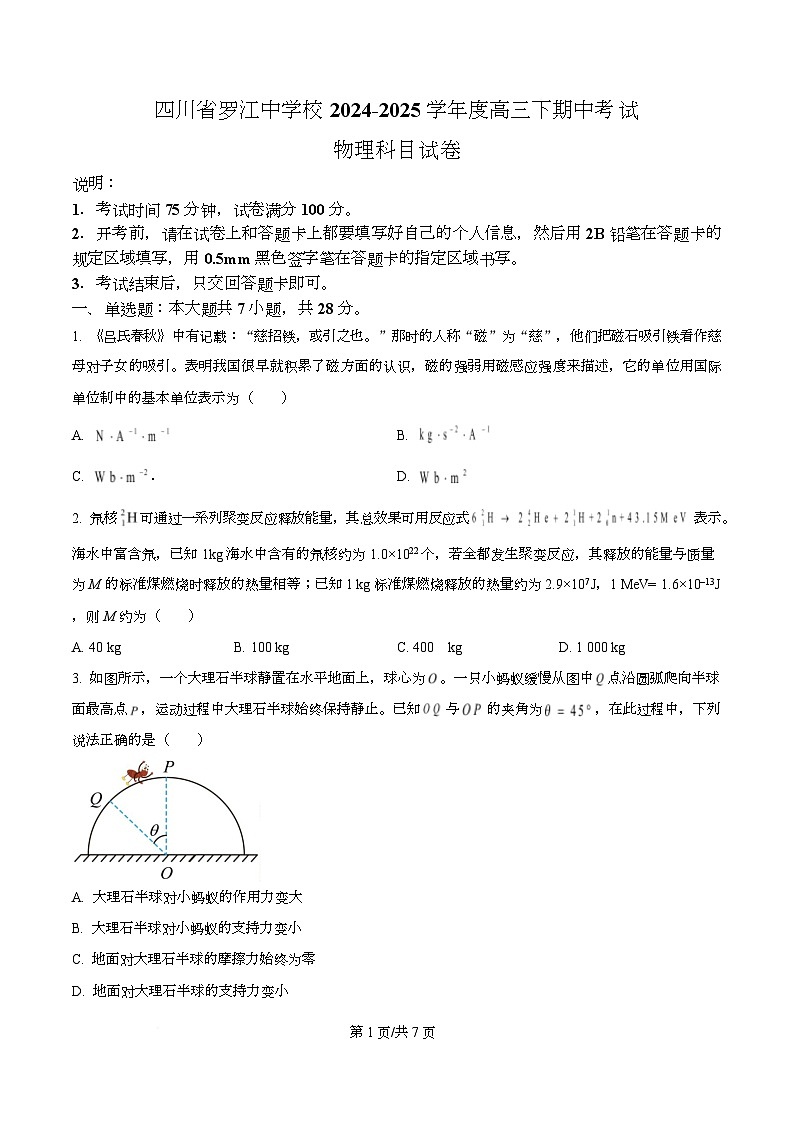 四川省德阳市罗江中学2025届高三下学期期中考试物理试卷（原卷版）第1页