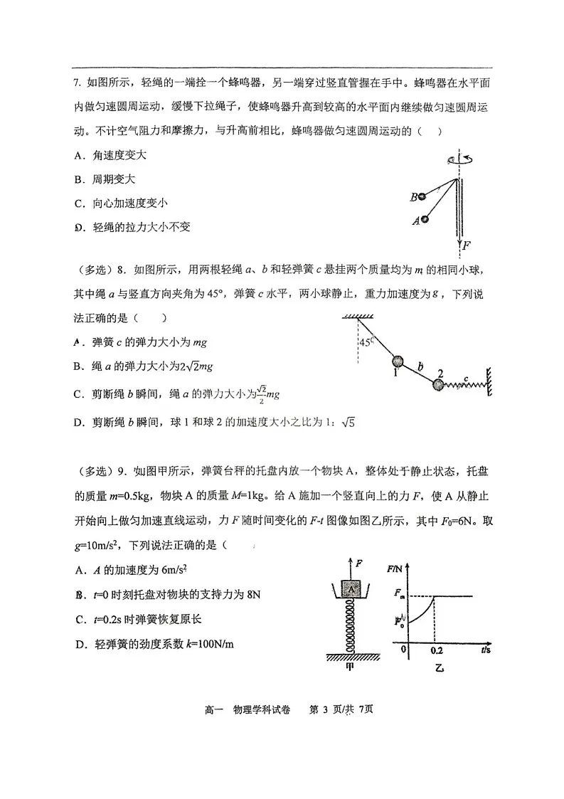 辽宁省大连市大连育明高级中学2024-2025学年高一上学期期末考试物理试卷第3页