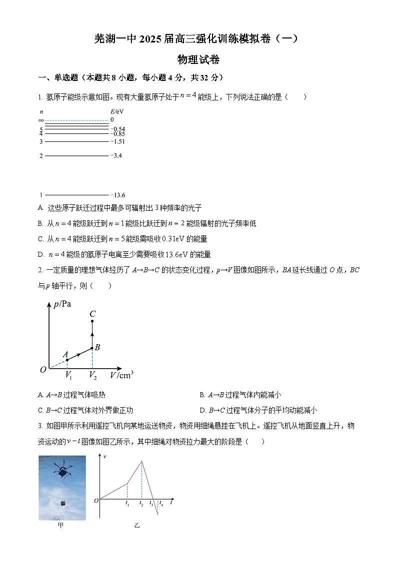 2025届安徽省芜湖市第一中学高三下学期3月教学质量诊断测试物理试卷（原卷版）-A4第1页