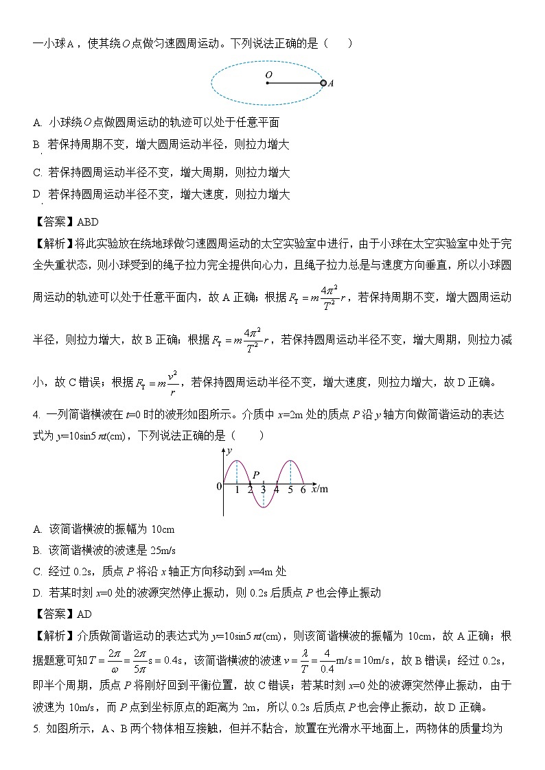 北京市海淀区2024-2025学年高三物理上学期11月期中试卷第2页
