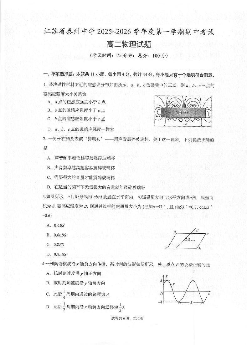 江苏省泰州中学2025-2026学年高二上学期11月期中考试物理试卷（PDF版附解析）第1页