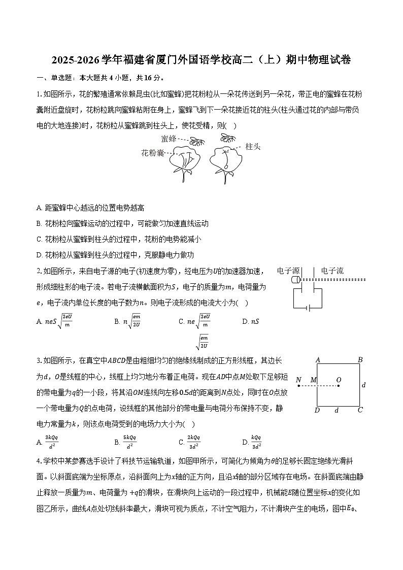 2025-2026学年福建省厦门外国语学校高二（上）期中物理试卷（含答案）第1页
