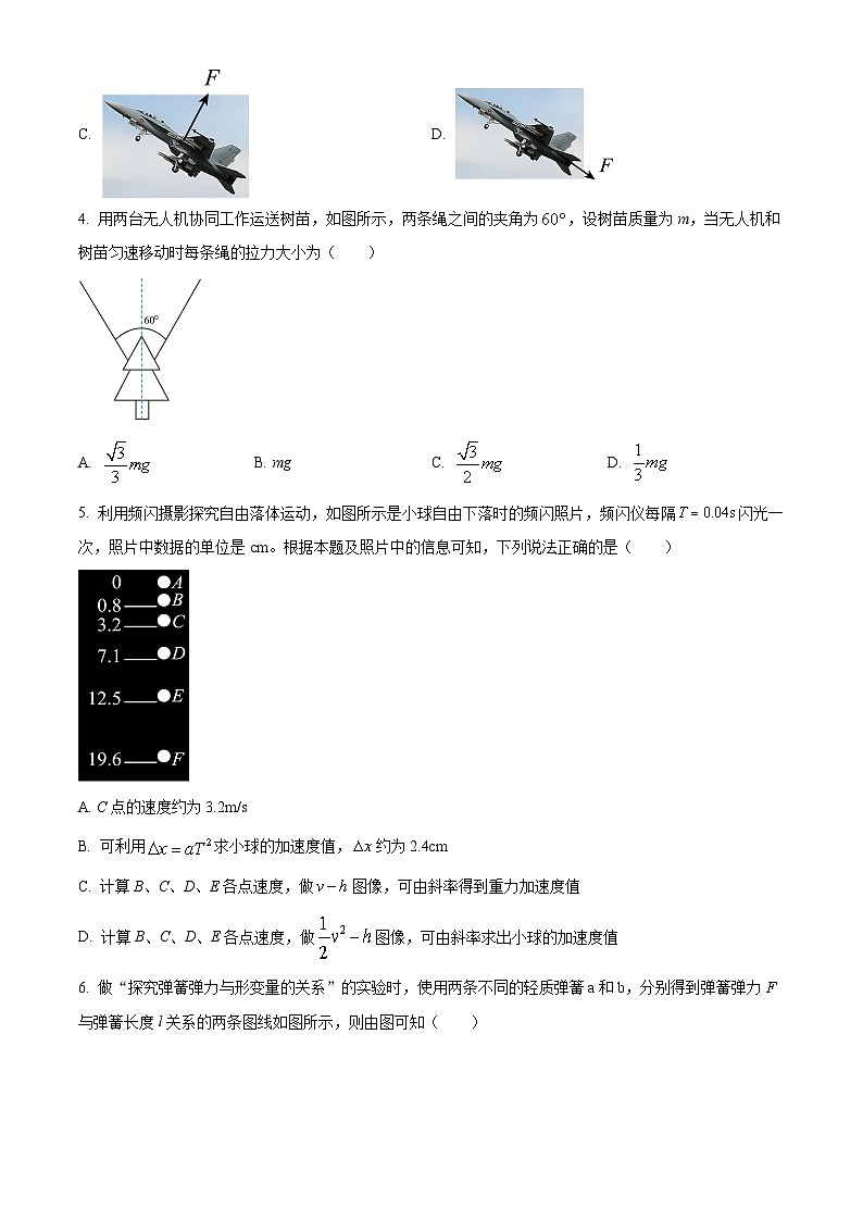北京市第一六一中学2024-2025学年高一下学期2月开学考试物理试题第2页