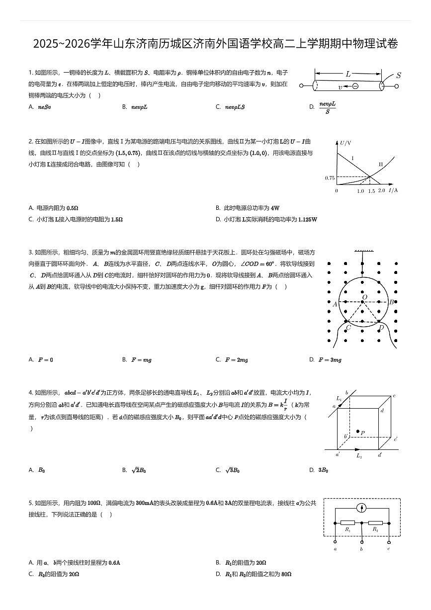 2025~2026学年山东济南历城区济南外国语学校高二上学期期中物理试卷（有答案解析）第1页