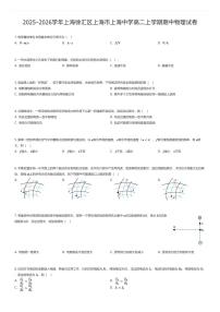 2025~2026学年上海徐汇区上海市上海中学高二上学期期中物理试卷（有答案解析）