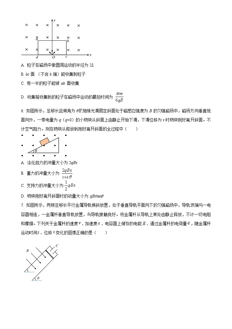 重庆市巴蜀中学2026届高三上学期11月期中物理试题（原卷版）第3页
