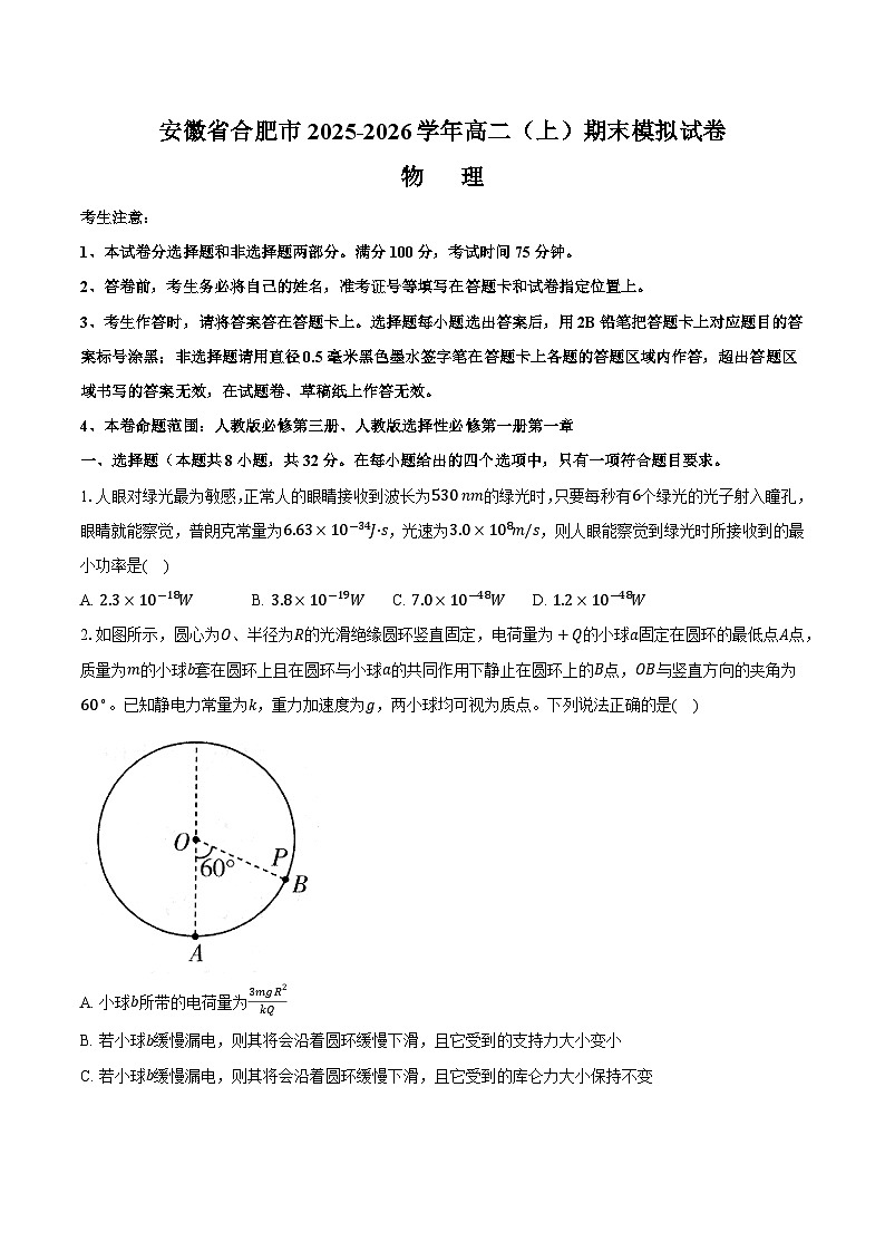 安徽省合肥市2025-2026学年高二（上）期末模拟物理试卷第1页