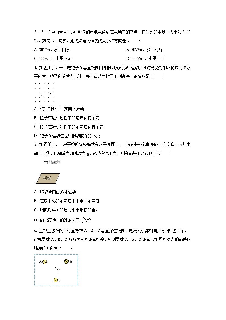 四川省攀枝花市2024-2025学年高二上学期1月期末物理试卷（学生版）第2页