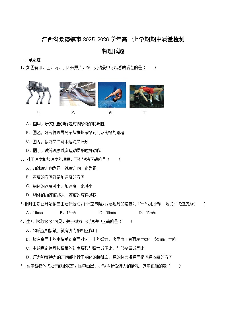 江西省景德镇市2025-2026学年高一上学期11月期中考试试题 物理（含答案）第1页