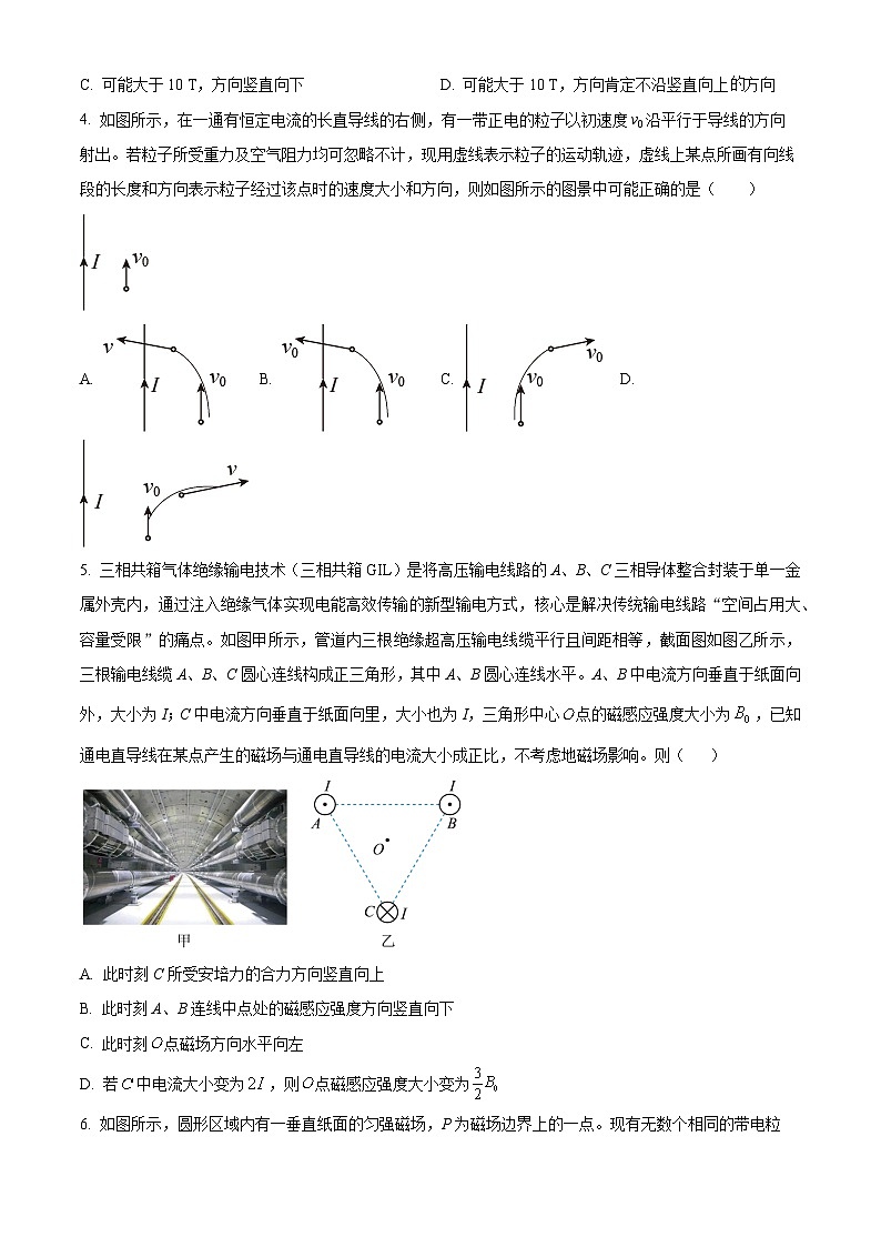 湖北省武昌实验中学2025-2026学年高二上学期12月阶段性检测物理试题（原卷版）第2页