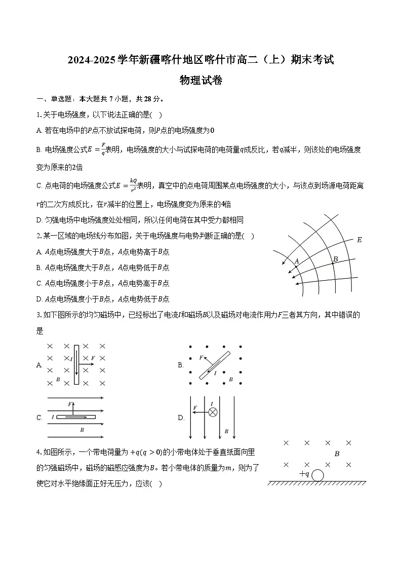 2024-2025学年新疆喀什地区喀什市高二（上）期末物理试卷（含解析）第1页