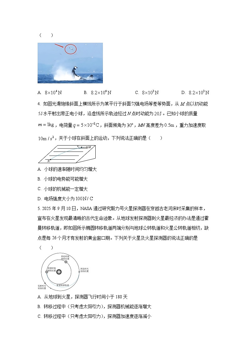 2025-2026学年河北省唐山市十校高三上学期12月期中物理试卷（学生版）第2页