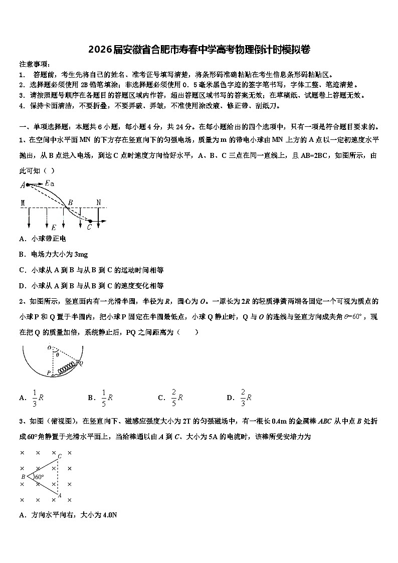 2026届安徽省合肥市寿春中学高考物理倒计时模拟卷含解析第1页