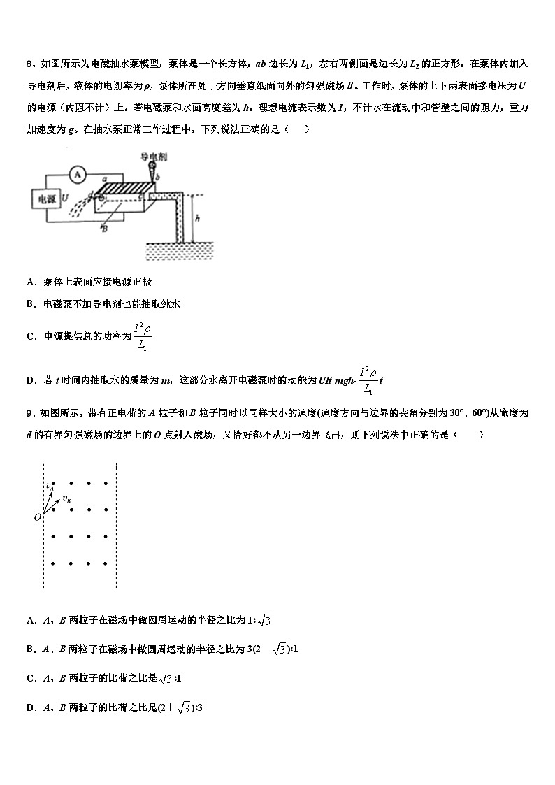 2026届安徽省合肥市寿春中学高考冲刺押题（最后一卷）物理试卷含解析第3页