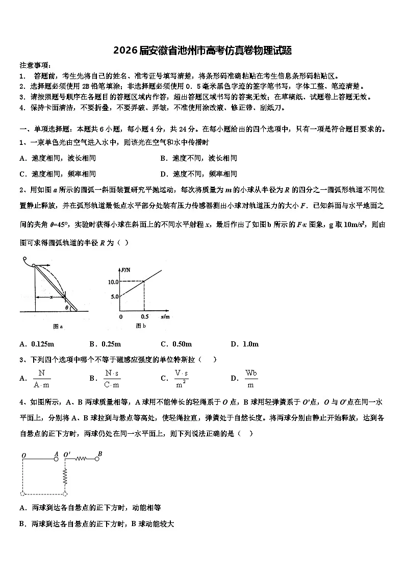 2026届安徽省池州市高考仿真卷物理试题含解析第1页