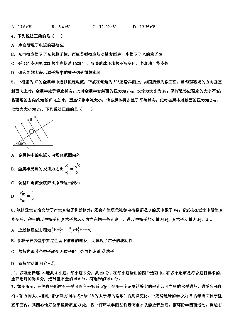 2026届安徽省定远育才实验学校高考物理考前最后一卷预测卷含解析第2页