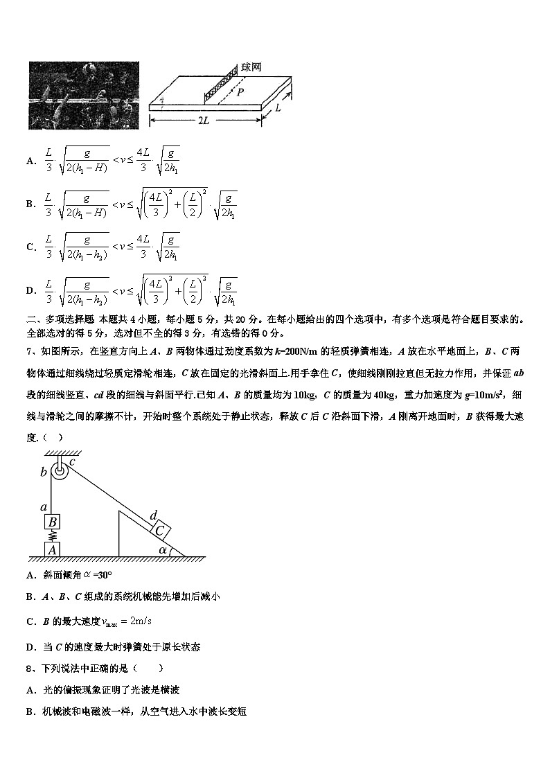 2026届安徽省铜陵一中、浮山中学高考临考冲刺物理试卷含解析第3页