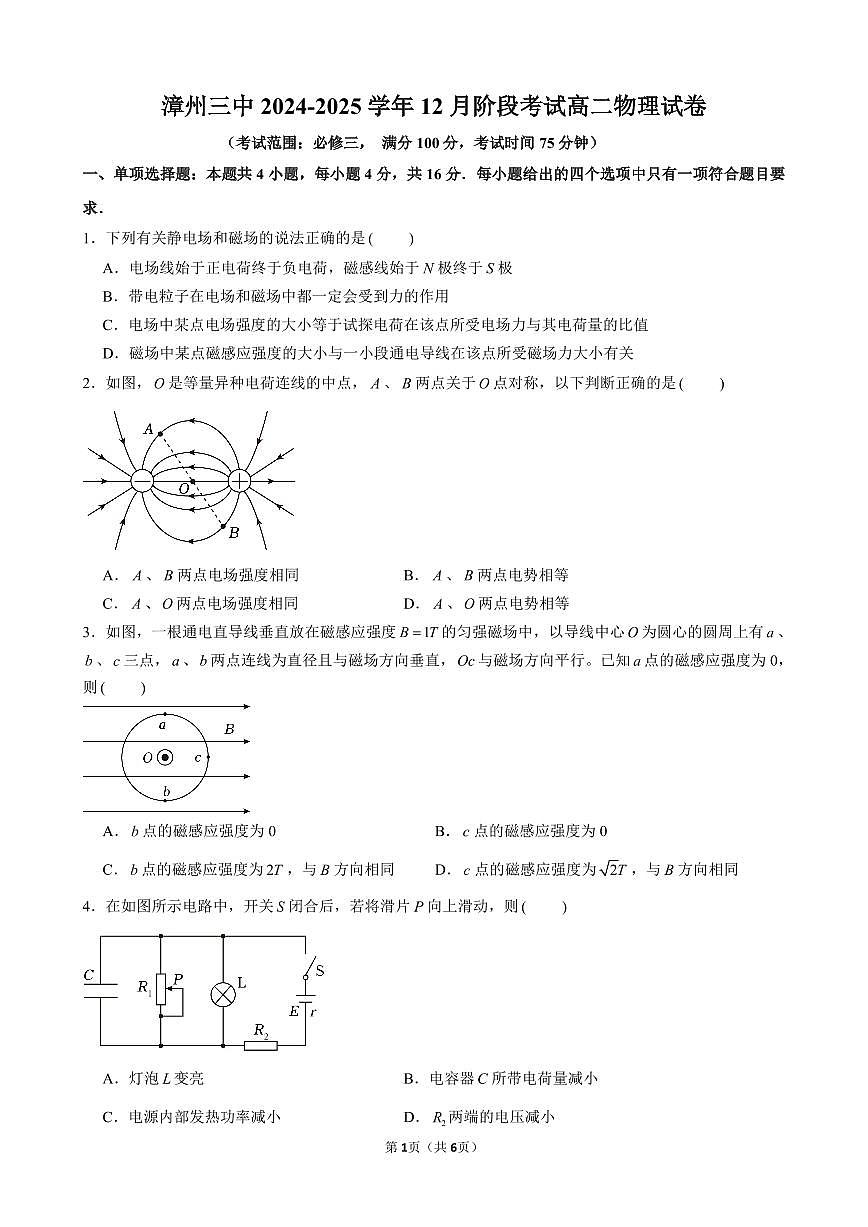 福建省漳州市第三中学高二上学期12月阶段考试物理试卷第1页