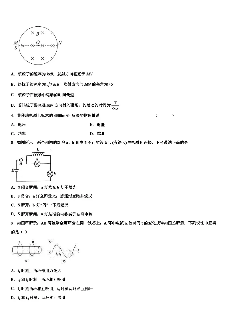2026届北京市对外经贸大学附属中学高三下学期一模考试物理试题含解析第2页