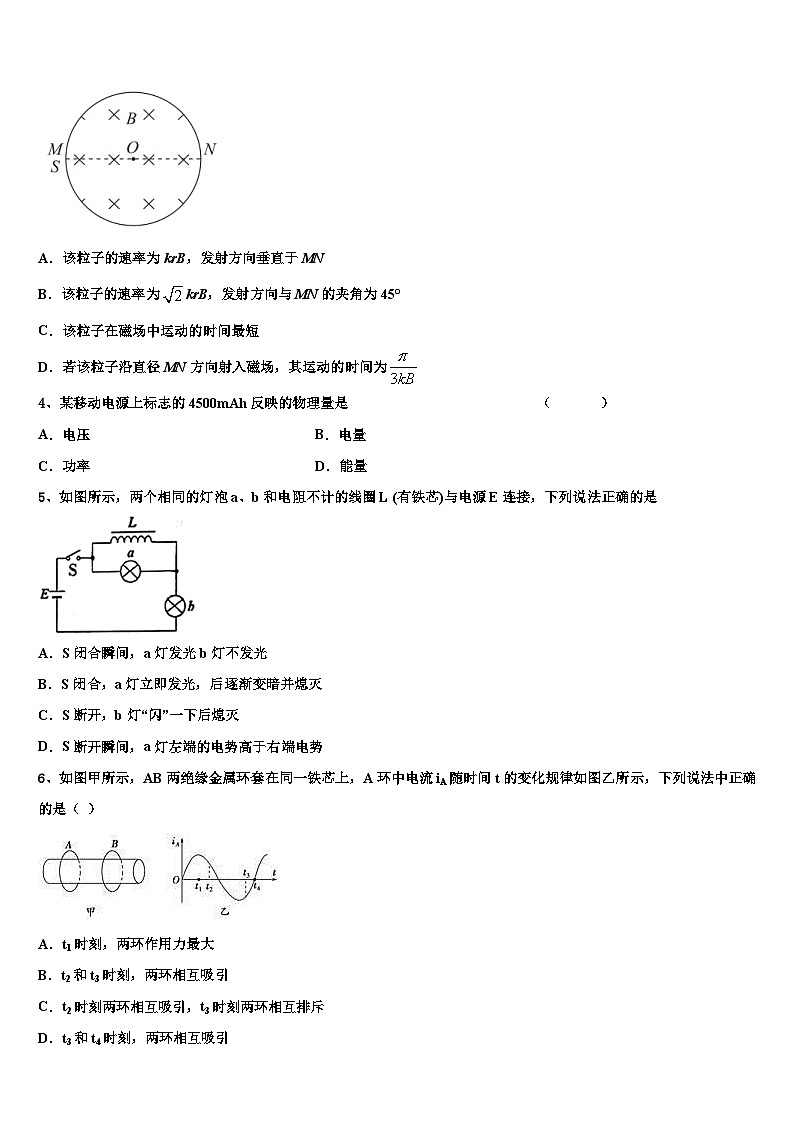 2026届北京市对外经贸大学附属中学高三下学期一模考试物理试题含解析第2页