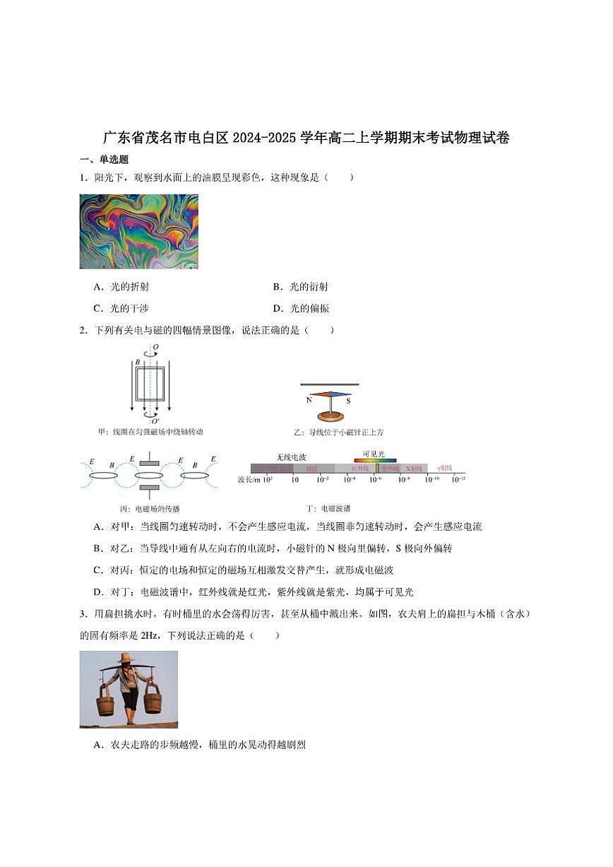 2024-2025学年广东省茂名市高二上学期期末质量监测物理试卷（有解析）第1页