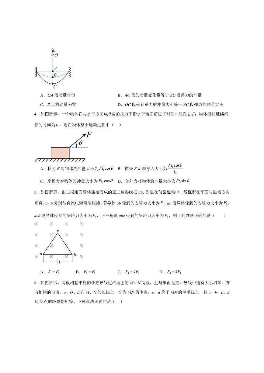2024-2025学年陕西省西安高新第三中学高二上学期期中考试物理试卷（有答案）第2页