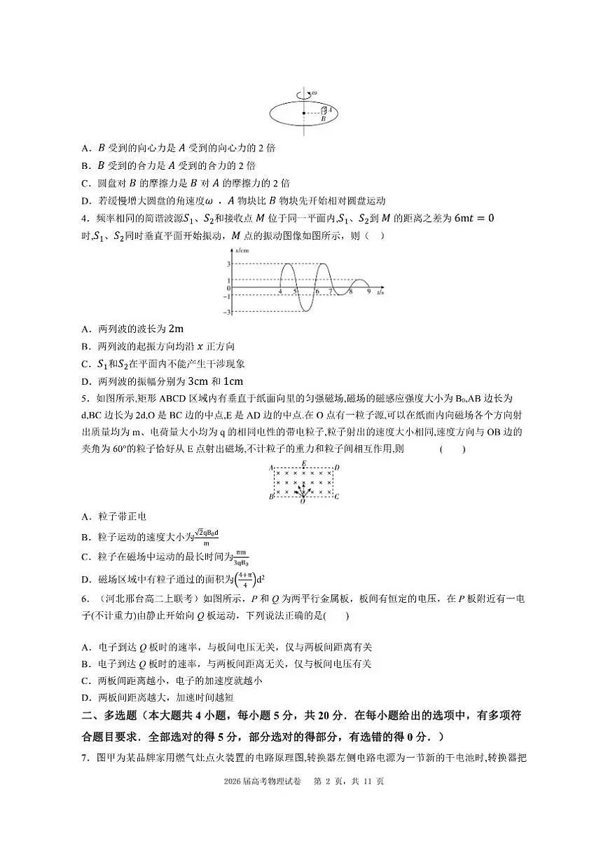 2026届湖南武冈市幸福富田高级中学高三上学期高考学情调研综合考试物理试卷（有解析）第2页