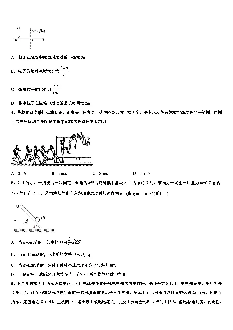 2026届鄂东南示范高中教改联盟高三下学期第五次调研考试物理试题含解析第2页