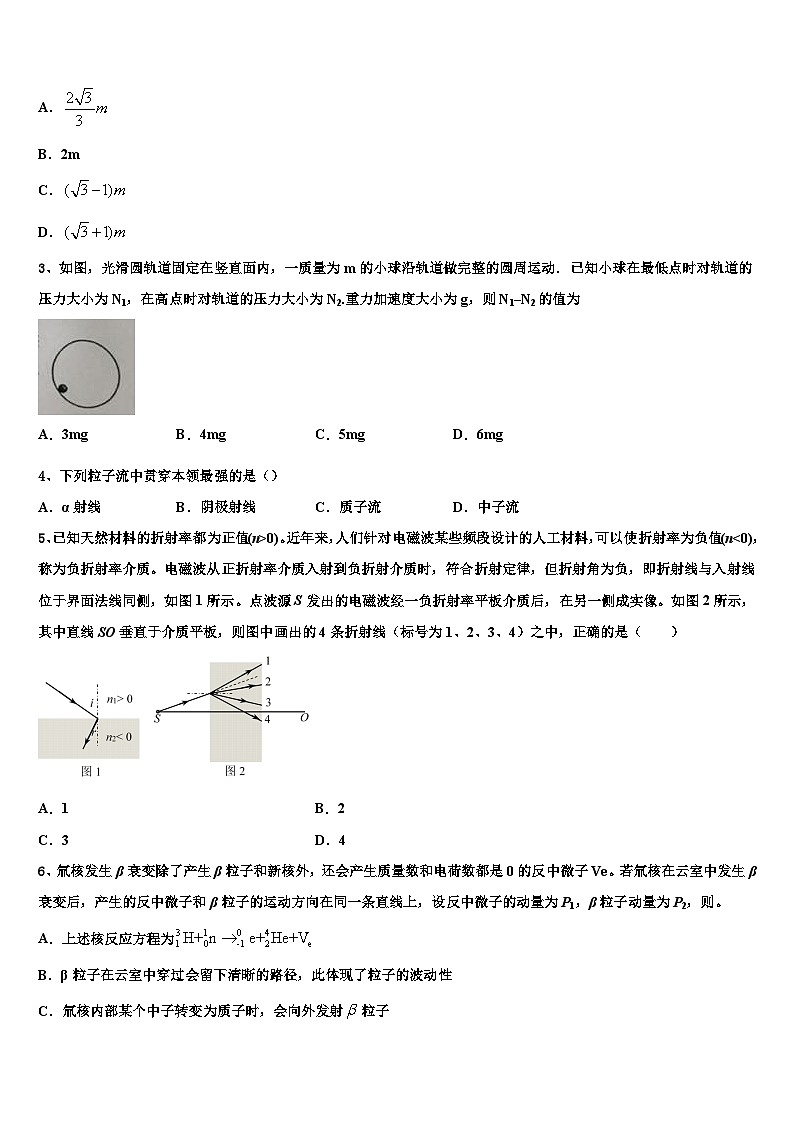 2026届福建省厦门第二中学高三下第一次测试物理试题含解析第2页
