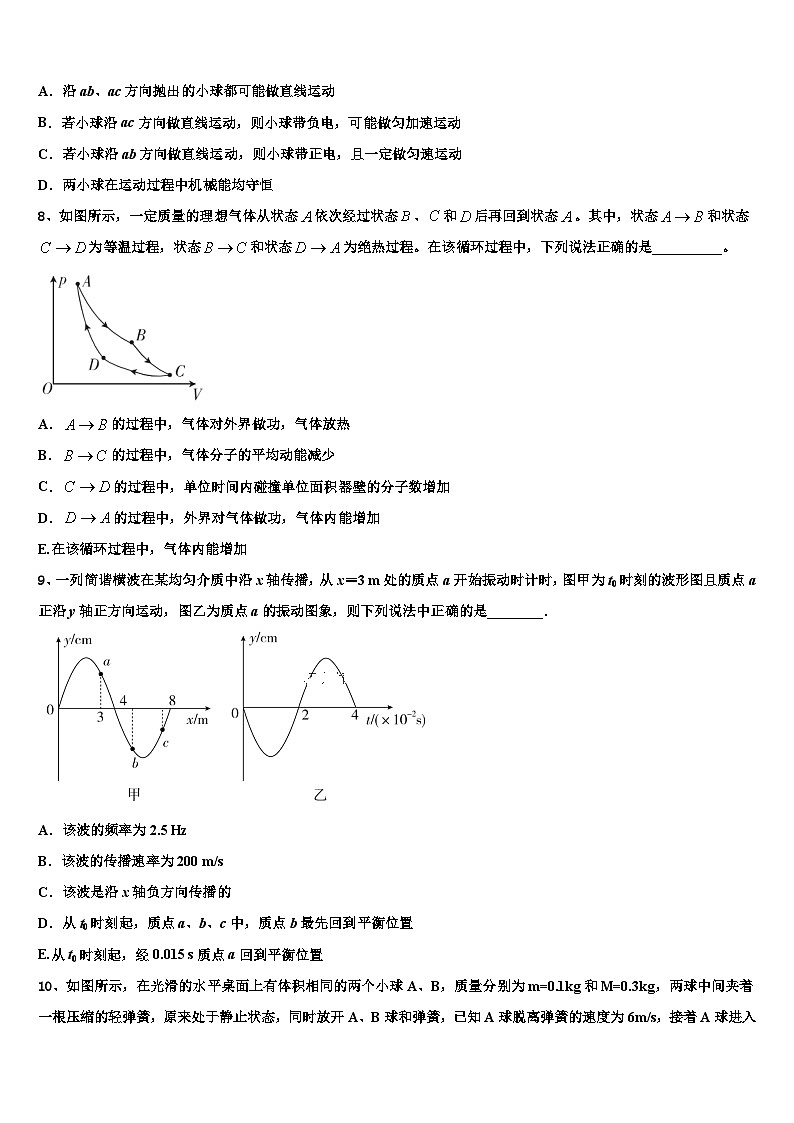 2026届福建省永春一中、培元、季延、石光中学高考仿真卷物理试卷含解析第3页