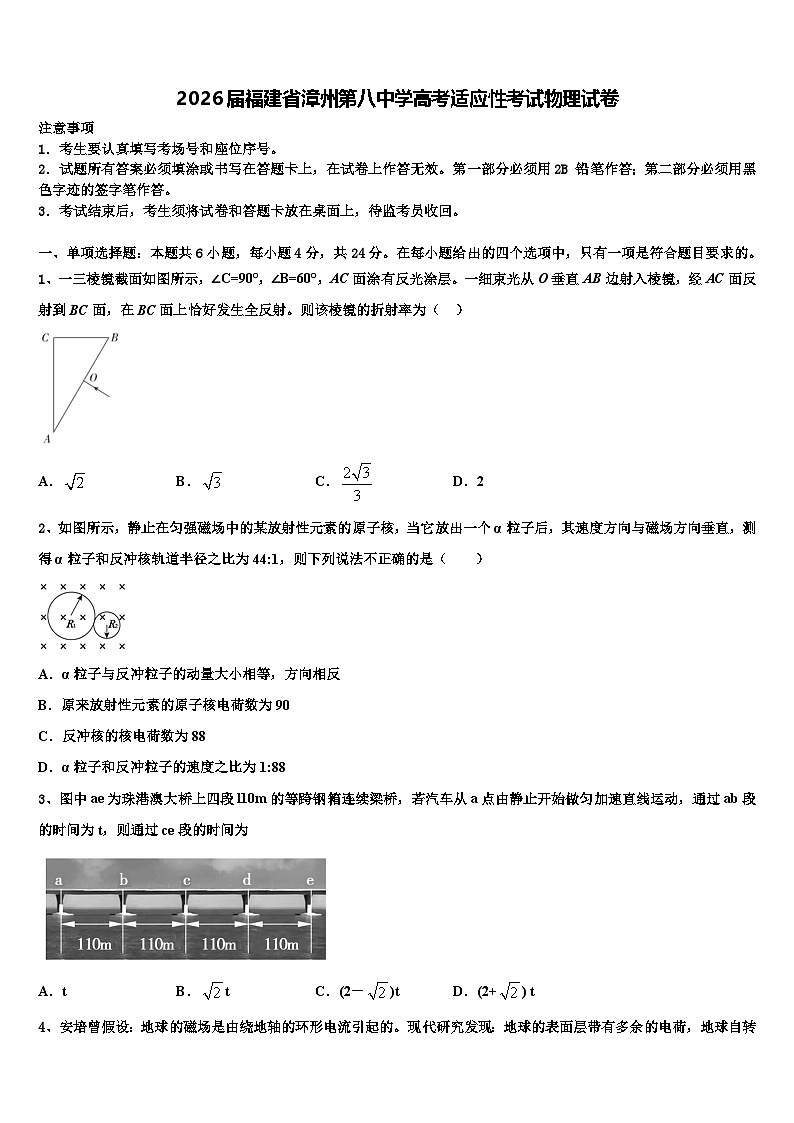 2026届福建省漳州第八中学高考适应性考试物理试卷含解析第1页