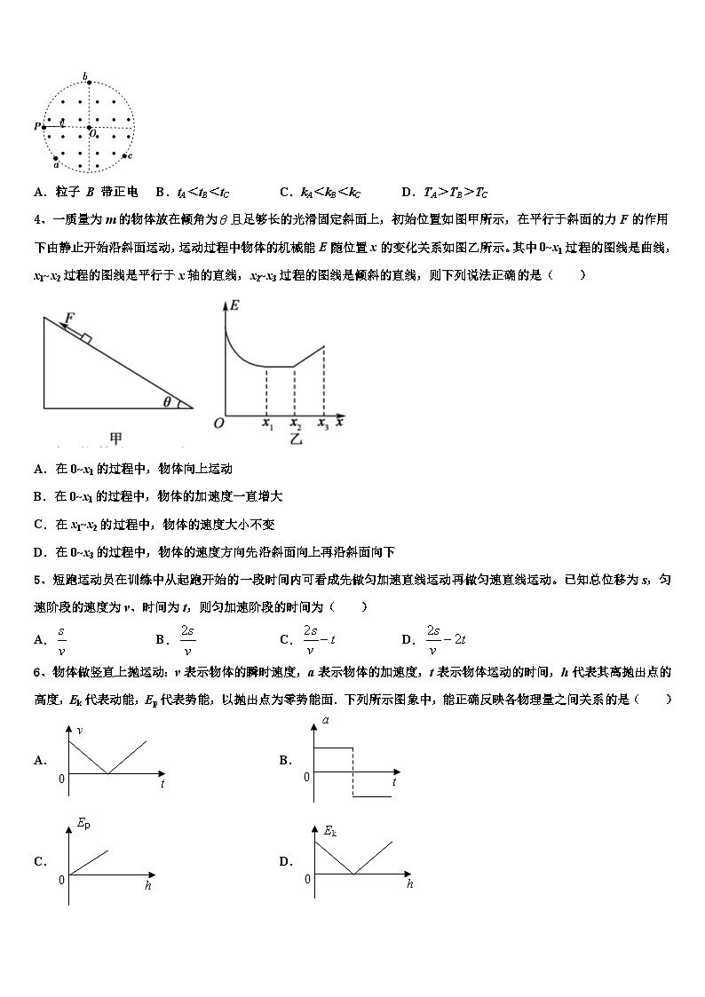 2026届福建省厦门外国语中学高三下学期联合考试物理试题含解析第2页