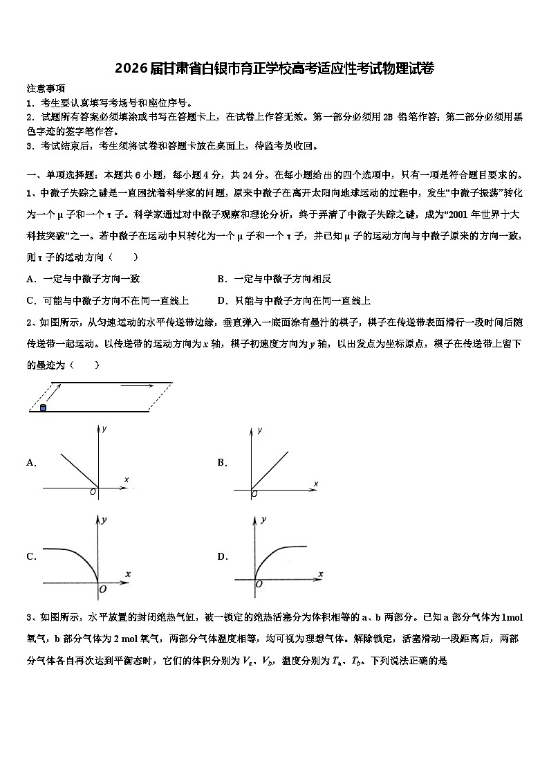2026届甘肃省白银市育正学校高考适应性考试物理试卷含解析第1页