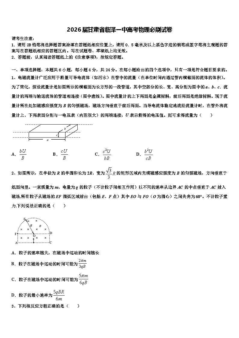2026届甘肃省临泽一中高考物理必刷试卷含解析第1页