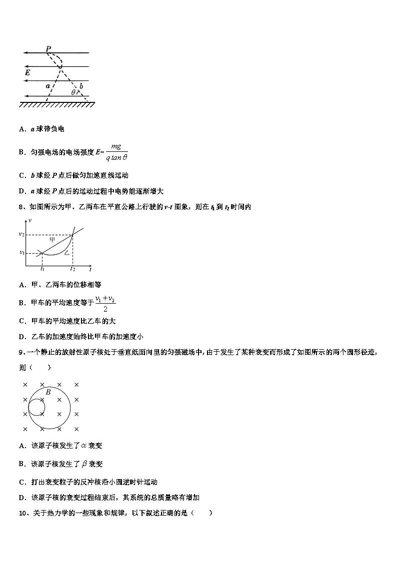 2026届甘肃省康县第一中学高三最后一卷物理试卷含解析第3页