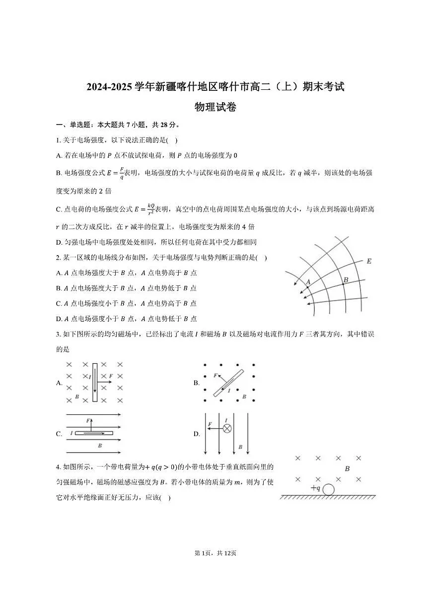 2024-2025学年新疆喀什地区喀什市高二（上）期末物理试卷（有解析）第1页