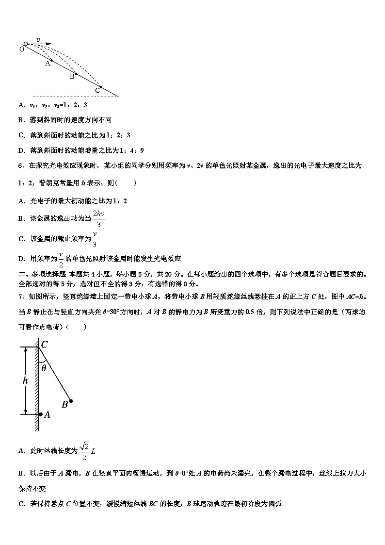 2026届广东省揭阳市重点中学高考适应性考试物理试卷含解析第3页