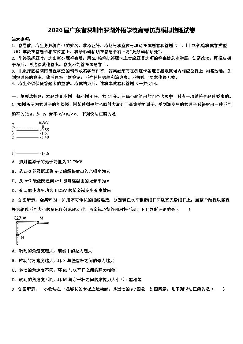 2026届广东省深圳市罗湖外语学校高考仿真模拟物理试卷含解析第1页