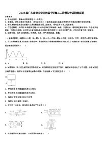2026届广东省肇庆学院附属中学高三二诊模拟考试物理试卷含解析
