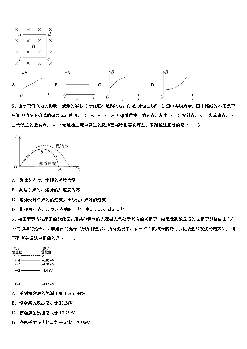 2026届广东省中山一中、潮阳一中等中学高三3月份模拟考试物理试题含解析第2页