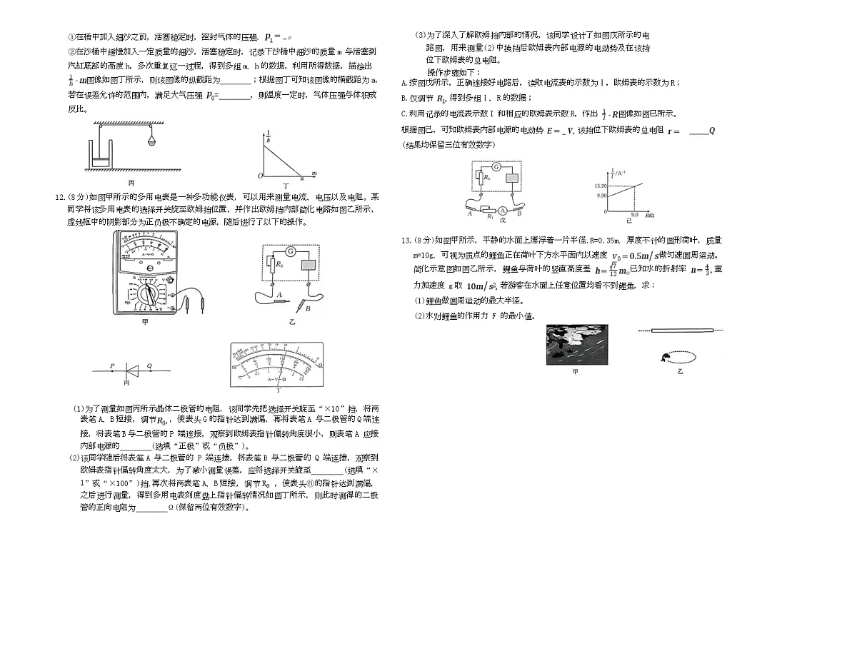 2026届河北省名校联合体高三上学期一模物理试题（高考模拟）第3页